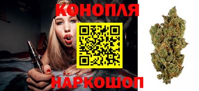прущая мука Шахты