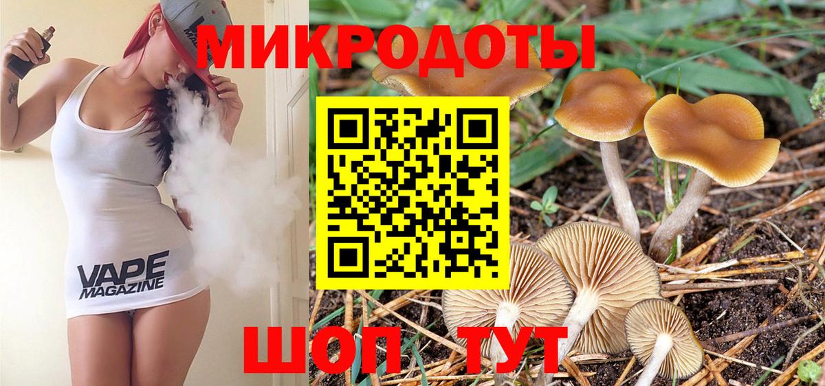 Алексеевка  Псилоцибиновые грибы ЛСД  Вход с VPN 